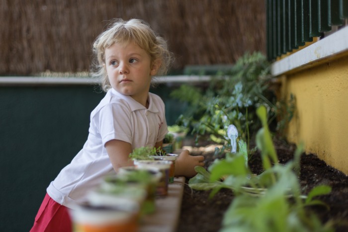 Captura de pantalla 2018 10 09 a las 20.04.14