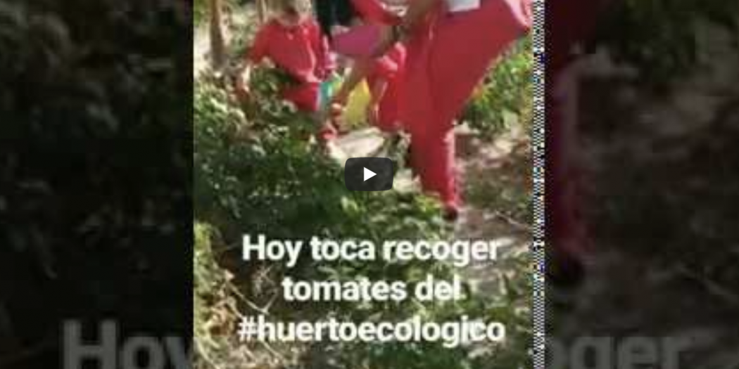 Captura de pantalla 2019 10 15 a las 11.44.08