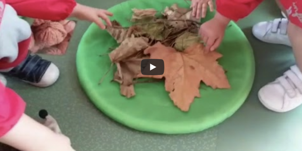 Captura de pantalla 2019 10 17 a las 10.42.32